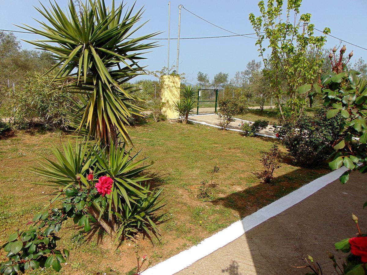 Classical Anta Villa